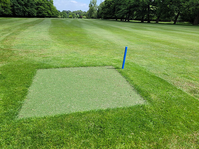 West Kent Blue Tees